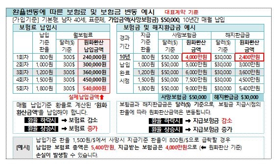 금감원 "외화보험, 환율변동에 전면 노출… 손실 위험"