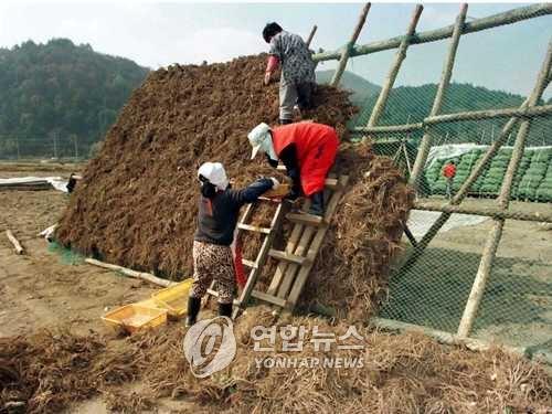 강원도, 특용작물 산업화 지원센터 공모사업 선정