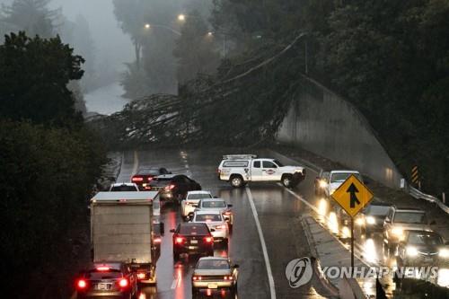 [월드&포토] 서부 폭설, 중남부 봄날…미국 성탄절 변덕 날씨