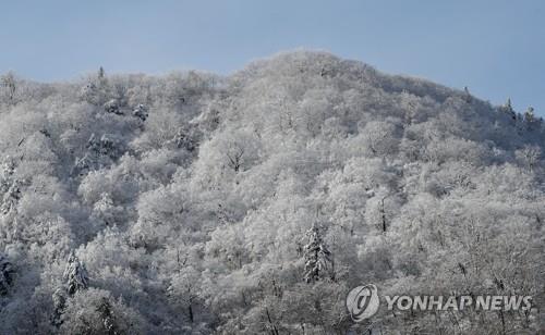 경북 울릉도·독도 대설주의보 해제