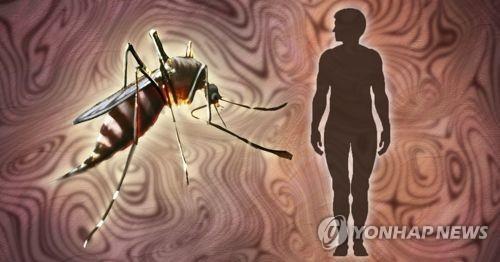 코로나19 여파?…국내 말라리아 환자 26년 만에 최저