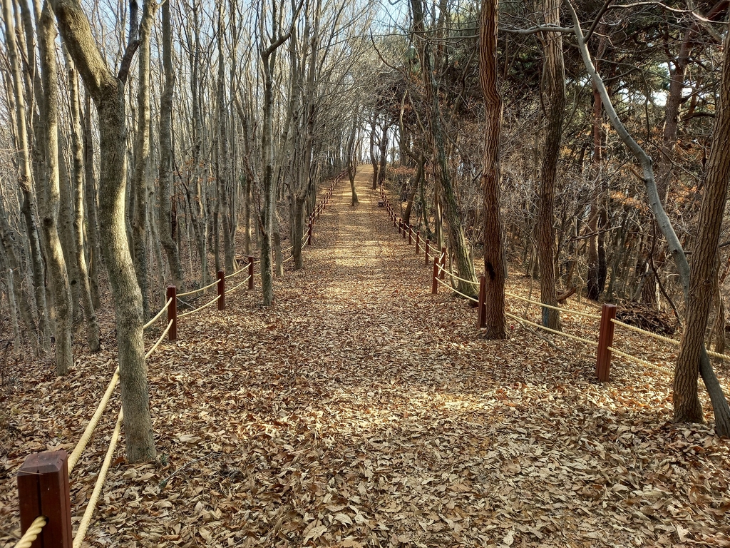 철새도래지 창원 주남저수지를 한눈에…산길따라 3번째 탐방로