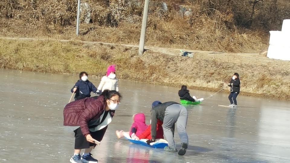 [픽! 보은] 추위가 즐거운 동심…논 썰매장 인기