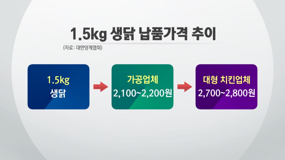 치킨값 2만 원 시대…"맛없는 닭 비싸게 먹는걸까?" [이지효의 플러스 PICK]