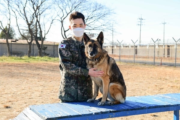 10살 노견에 '제2의 견생'…돌보던 군견과 제대하는 김병장