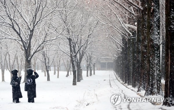 서울 등 수도권 '눈 펑펑'…올 겨울 첫 대설주의보