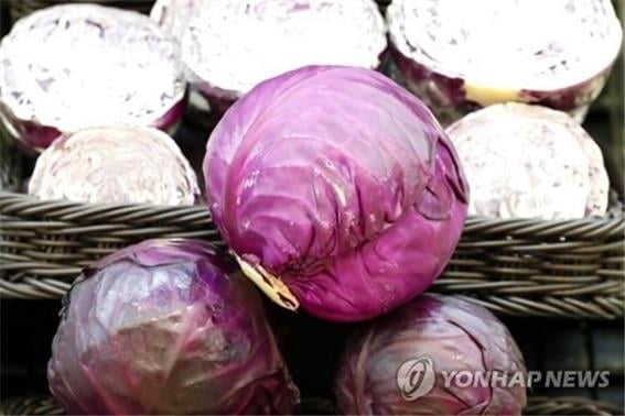 "고섬유식, 항암 면역치료에 도움"…먹을 음식은?