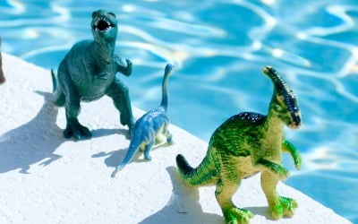 아이들이 좋아하는 '공룡, 그 전에 더 커다란 '어룡' 있었다