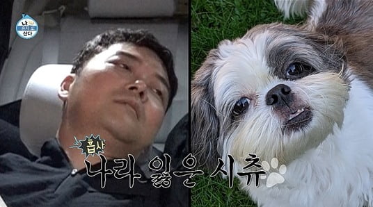 [종합] "걸그룹 다리"…전현무, 허벅지 얻고 10년은 늙은 듯 ('나 혼자 산다')