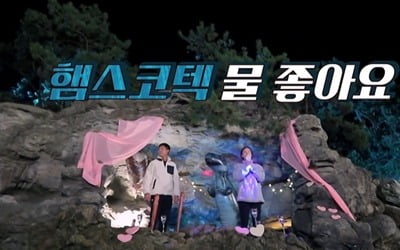 [종합] '결혼 19년차' 김정임 "♥홍성흔, 점수? 괜한 짓...죽는 날 평가" ('동굴캐슬')