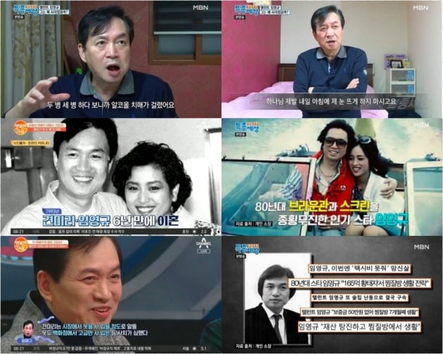 임영규./사진=MBN '현장르포 특종세상’ , 채널A '행복한 아침' 방송 캡처