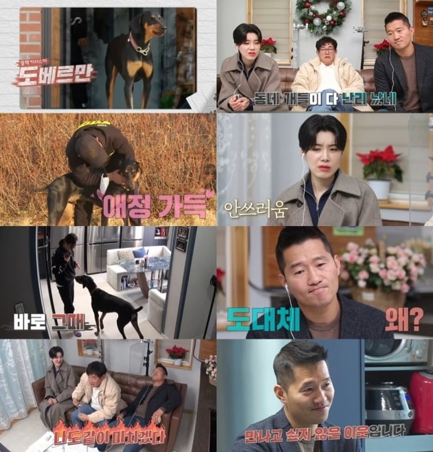 사진= KBS2 ‘개는 훌륭하다’ 캡처