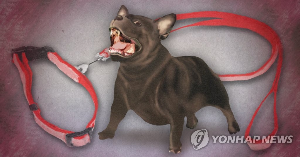 [내년 달라지는 것] 이해충돌방지법 시행…반려견 목줄 2ｍ 이내로