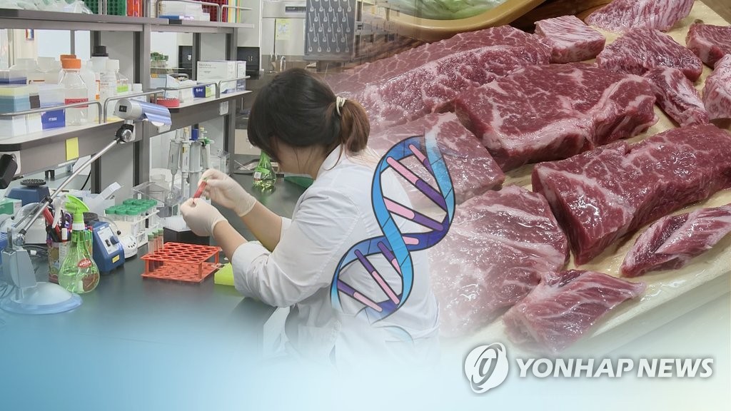 유전자 분석해 한우 판별…전남동물위생시험소, 검사 확대