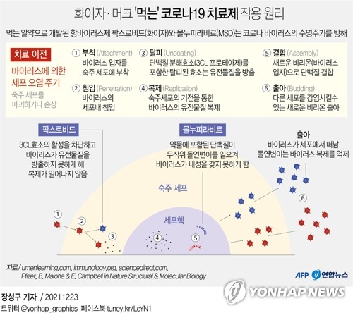 먹는 코로나치료제, 연내 긴급사용 결정한다…"재택환자도 처방"