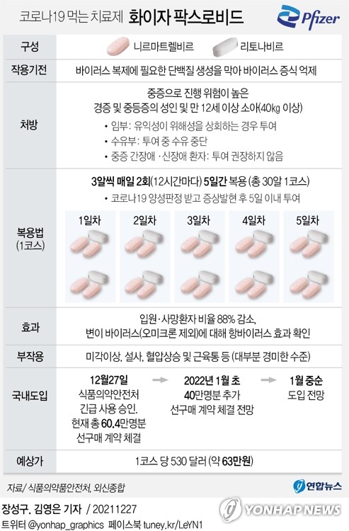 먹는 코로나 치료제, 게임체인저 될까…중증 막고 오미크론 치료