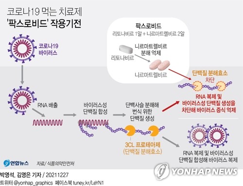 "화이자 코로나 치료제, 항우울제와 함께 복용하면 위험"