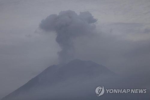 [월드&포토] 화산재에 잿빛 된 인도네시아 동자바섬