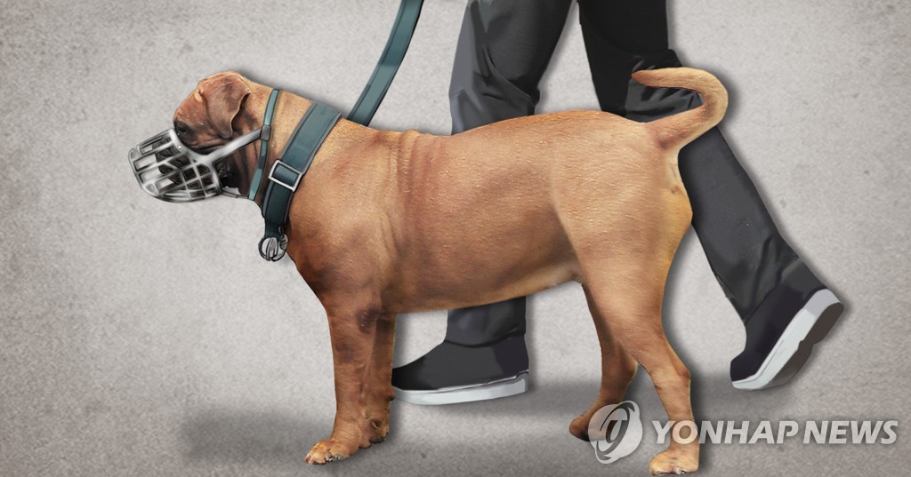 [내년 달라지는 것] 농지연금 가입연령 만 65세→60세…반려견 목줄 길이 2m 이내로