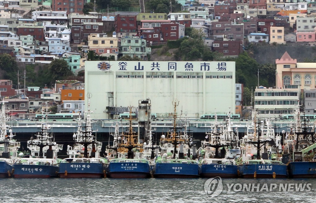 부산공동어시장 현대화 사업, 시의회에서 '제동'