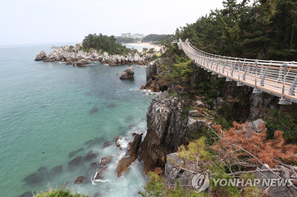 동해시, 새해 첫날 '일출 시간대' 주요 관광지 진입 폐쇄