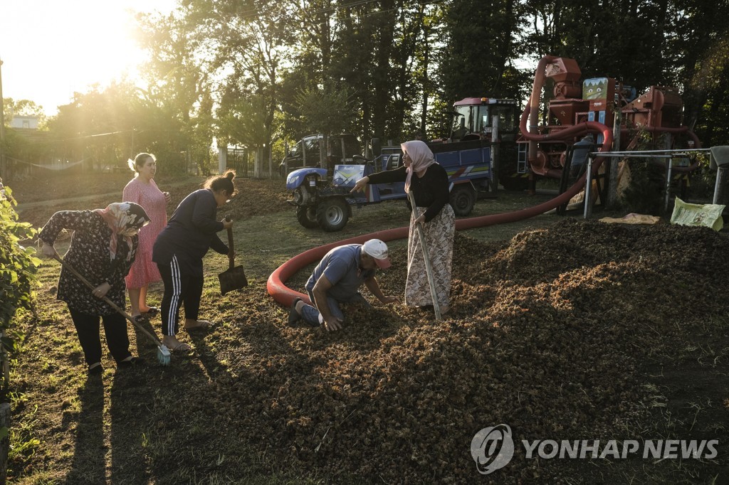 누텔라 사재기해야 하나…리라화 폭락에 헤이즐넛 공급망 휘청