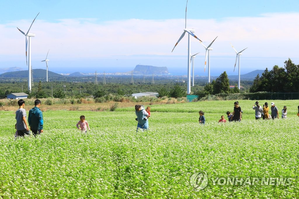 걸핏하면 멈추는 제주 풍력발전기…적정규모 연구 15일 보고회