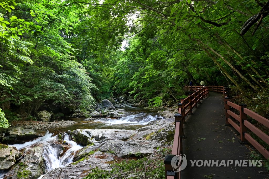 "쇠딱따구리·파도·범종·계곡·바람 소리로 자연 치유하세요"