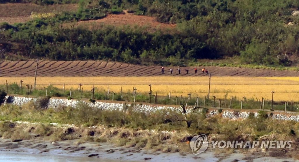 북한, 겨울 맞아 밀·보리 농사에 초점…"조건 탓 말라"