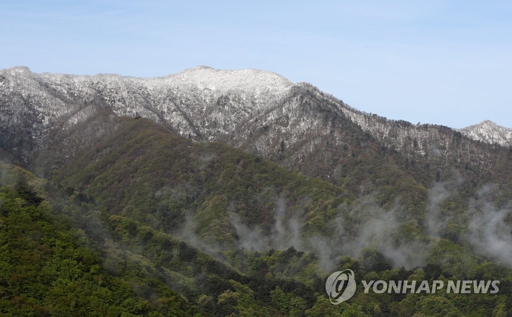 강원 북부산지에 대설주의보