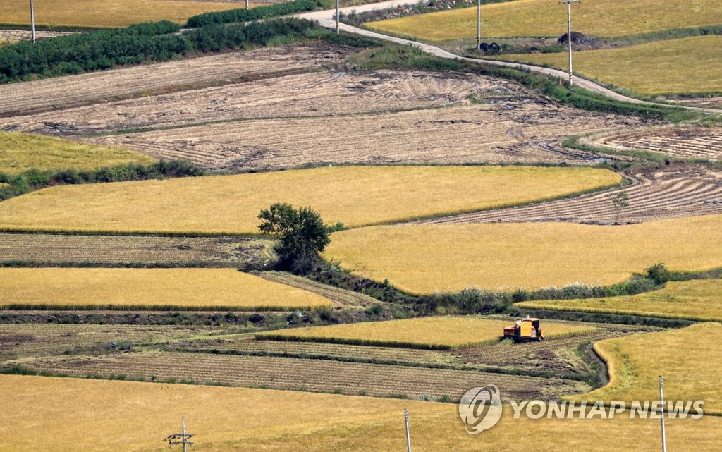 철원군, '드문 모심기' 재배법 효과 입증…"비용·일손 절감"