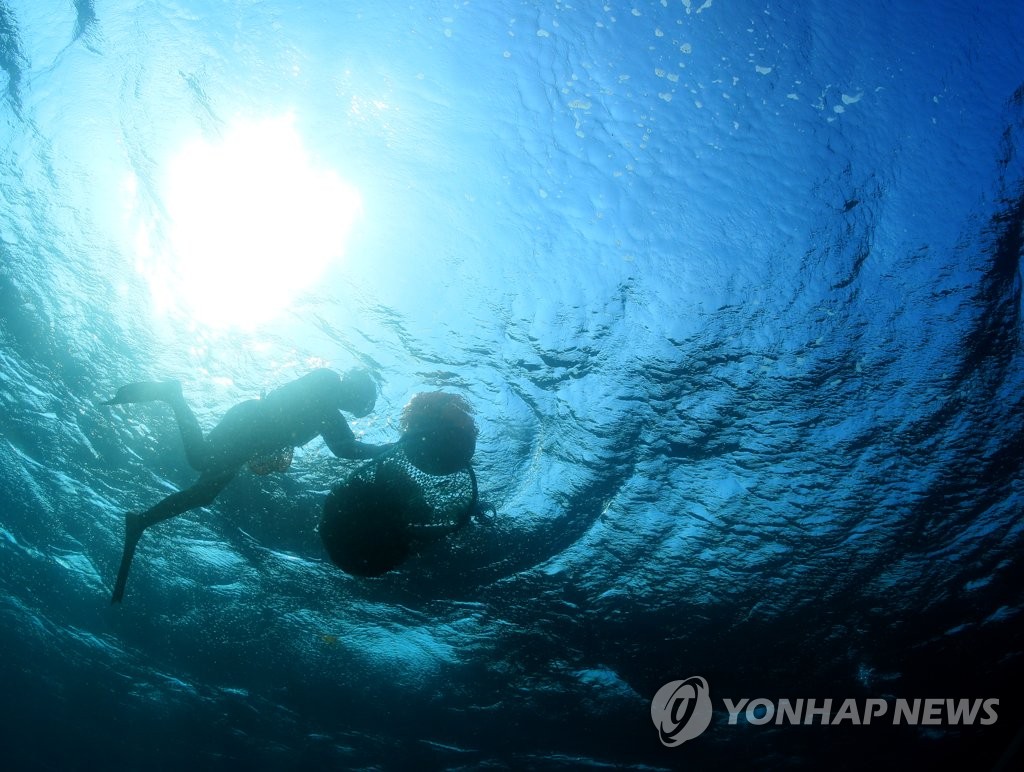 [다시! 제주문화] (26)여다(女多)의 섬 제주…슬픈 해녀의 사연