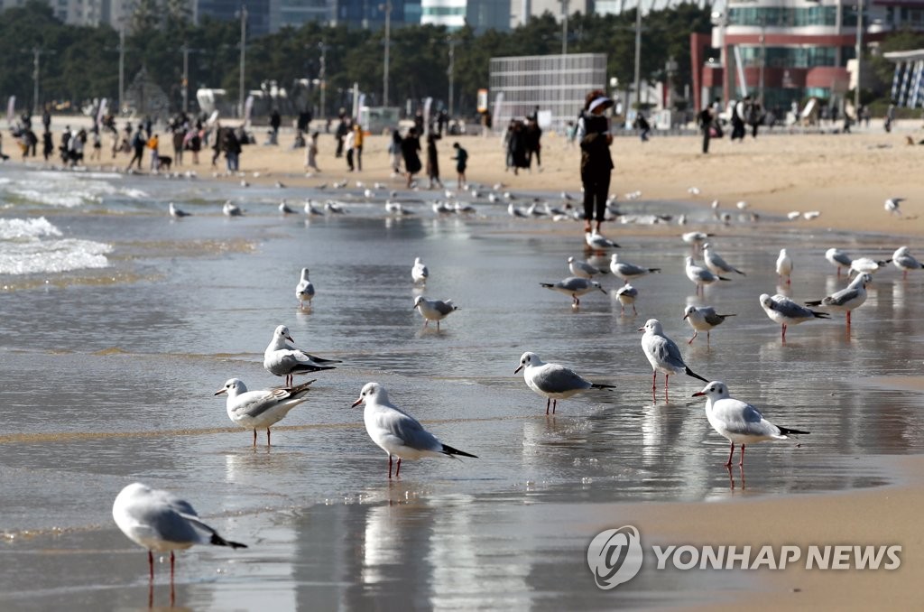 부산·울산·경남 포근한 날씨…평년보다 3∼5도 높아