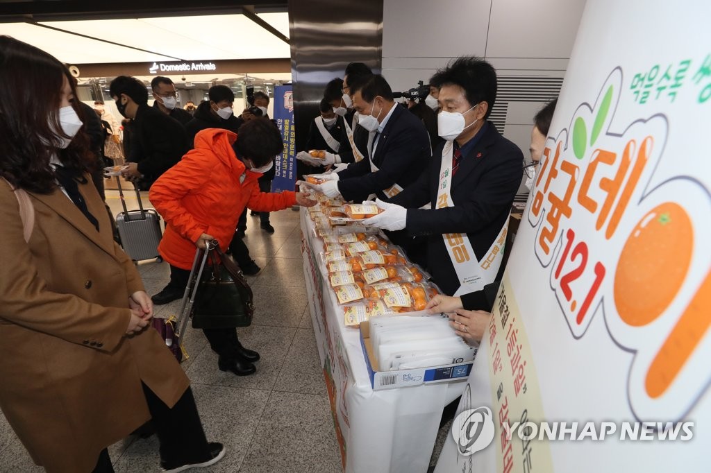 '감귤 데이' 제주 관광객에 소포장 감귤 1팩씩 제공