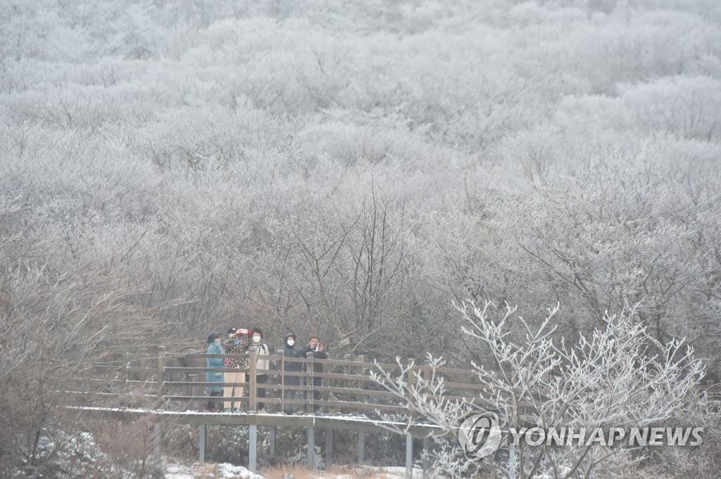 60년간 '대설'에 제주에서 적설량 기록된 적 한 번도 없어