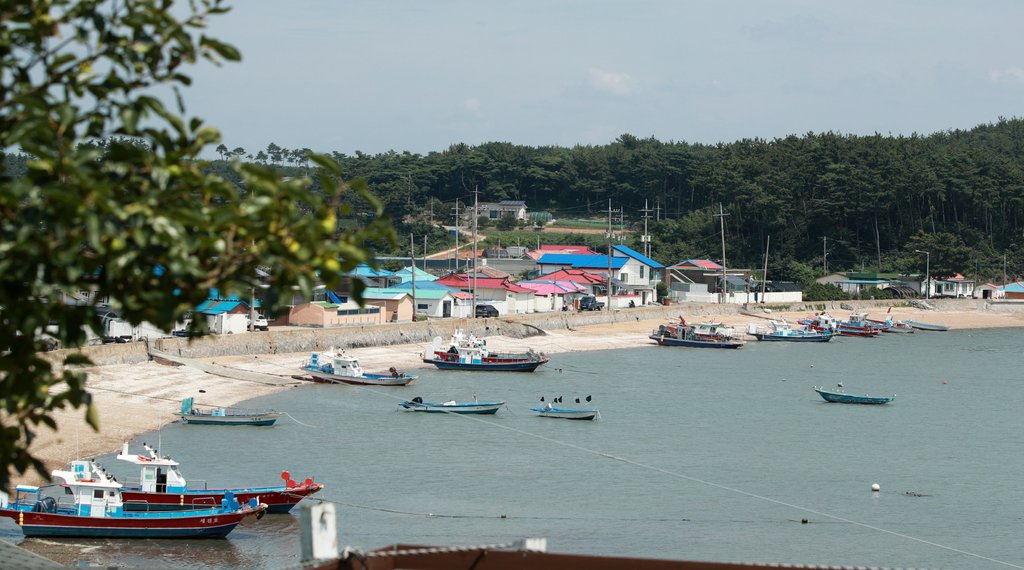 해수부, 내년도 어촌뉴딜300 대상지 50곳 선정…300곳 지정 완료