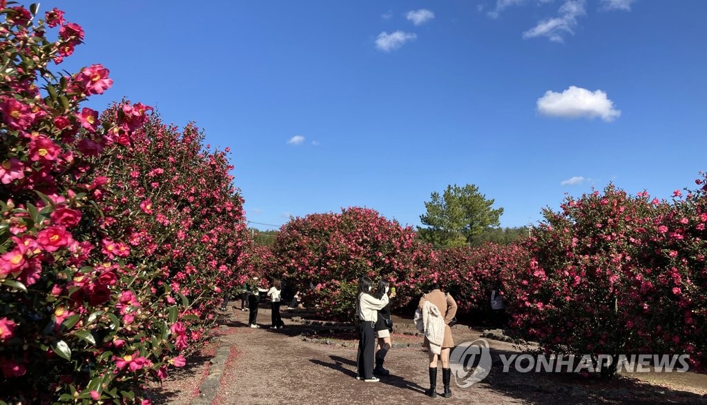 코로나 방역 강화 앞둔 첫 주말 '차분'…스키장·제주는 활기