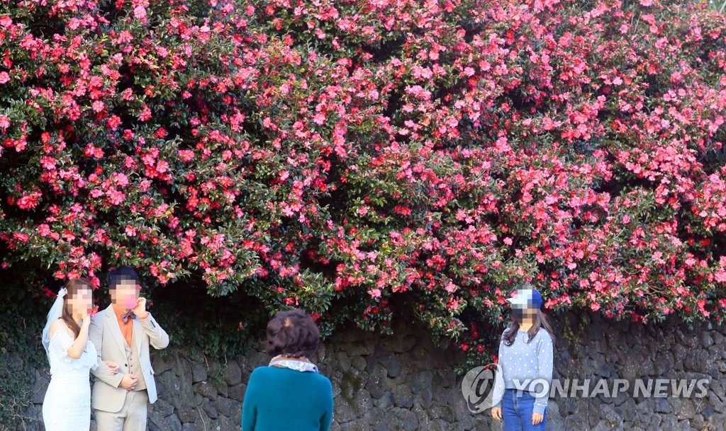 제주 대체로 맑음…일교차 주의