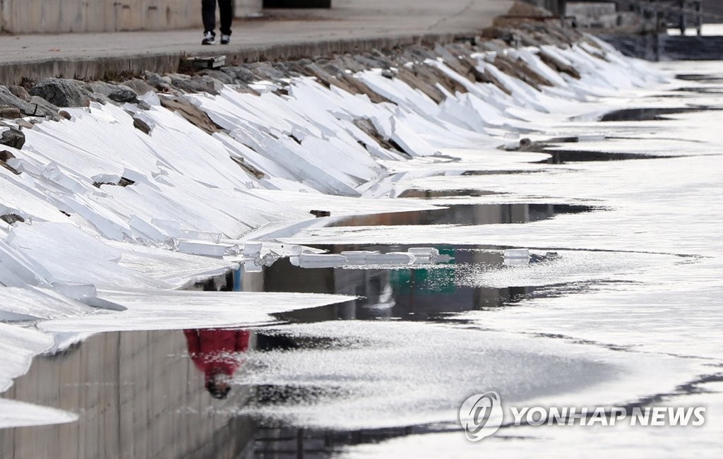 화천산천어축제 취소여파 고용위기 1천500명 일자리 확보 총력