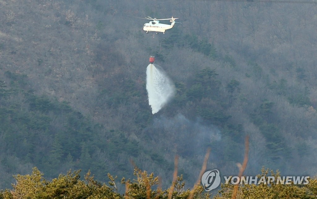 경주 군사격장 야산서 불…피해는 경미