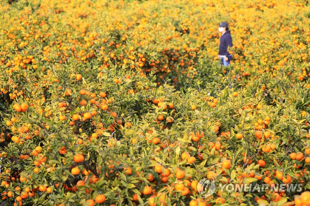 제주 낮부터 가끔 비…"육·해상 강풍 주의"