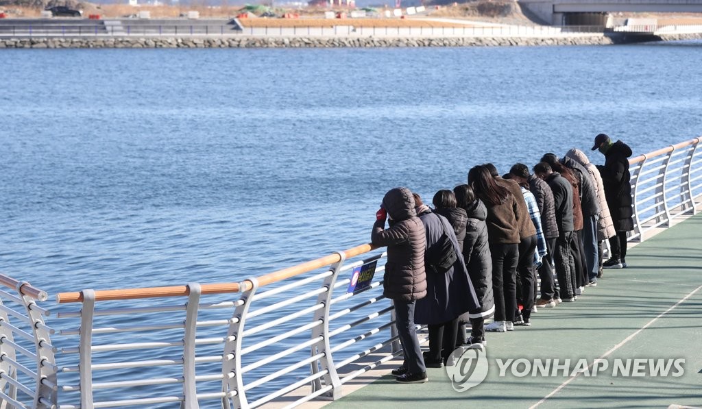 마산항에 가숭어떼 '물반 고기반'…서항지구 친수공간서 관찰