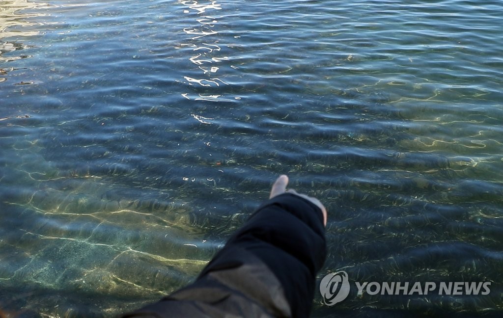 마산항에 가숭어떼 '물반 고기반'…서항지구 친수공간서 관찰