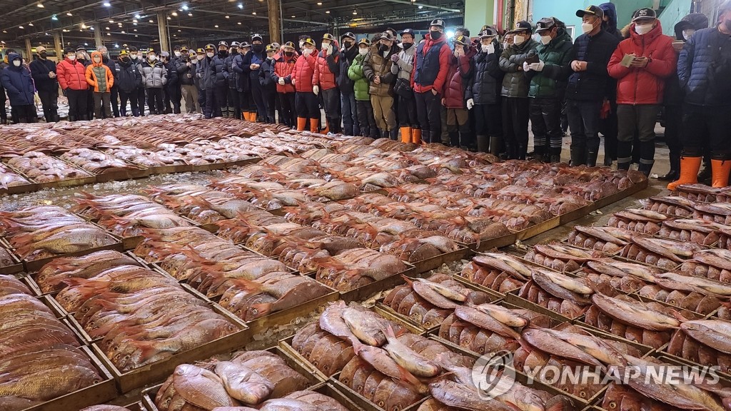 지진 전 하늘도 바다도 이상했다?…전문가 "근거 없는 속설"