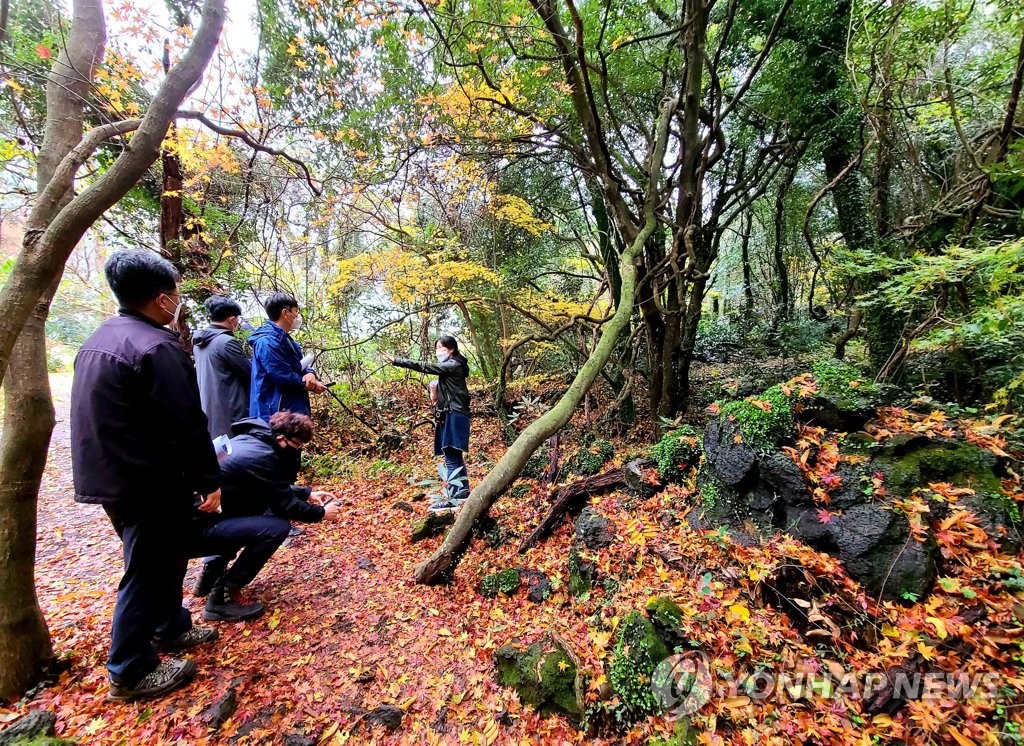 [제주 마을관광] ⑤'삶을 닮은 치유의 숲' 저지리 환상숲