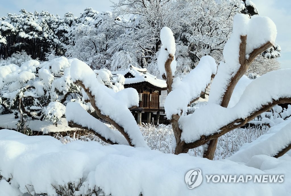 '겨울왕국 된 동해안' 50㎝ 폭설 뒤 영하 20도 한파(종합)