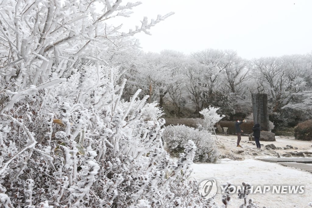 제주 폭설에 강추위…"산지 최대 40㎝ 이상 적설"