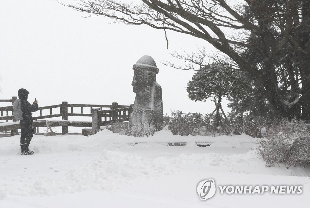 제주, 강추위에 폭설…항공기 43편 결항, 낙상사고 속출(종합)