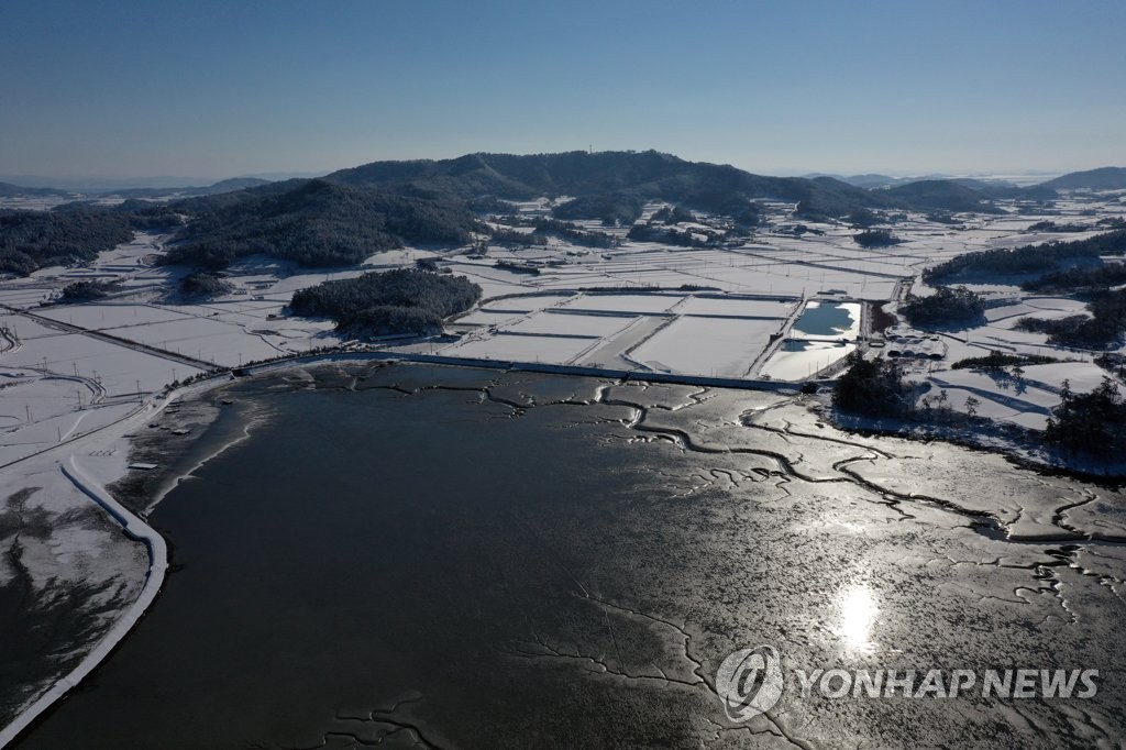 전남 올해의 빅 뉴스 '신안 등 갯벌, 유네스코 세계유산 등재'