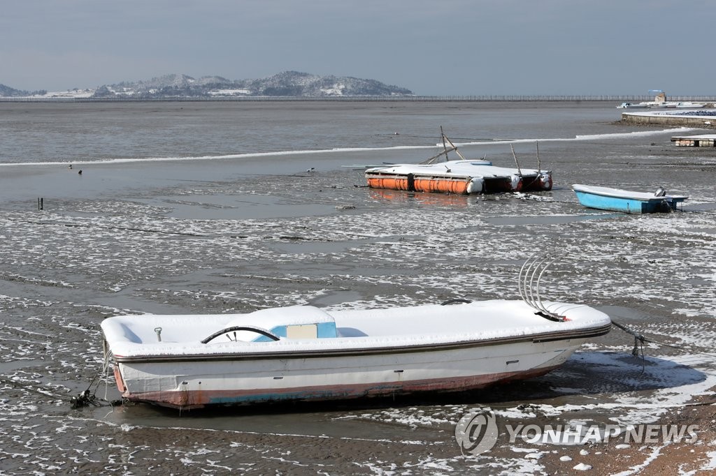 40㎝ 눈에 양식장 지붕 '폭삭'…"20년 만에 이런 폭설 처음"